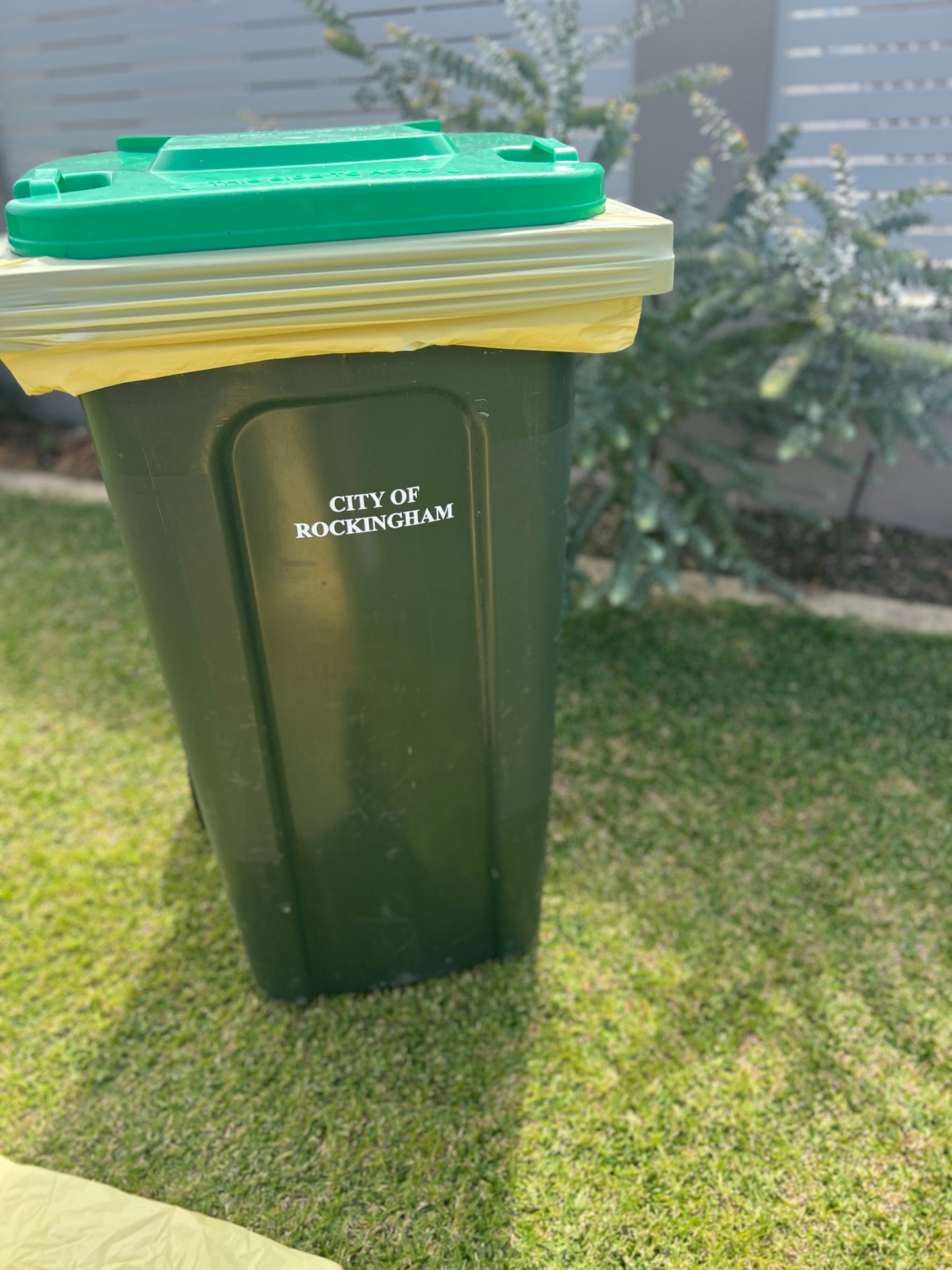 Eco Haven Co Vergeside Bin Compostable Liners