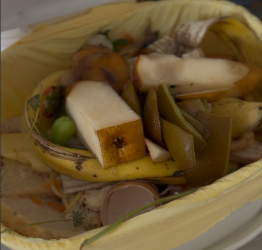 From Frustrated to Curious: How FOGO Changed the Way I Think About Waste