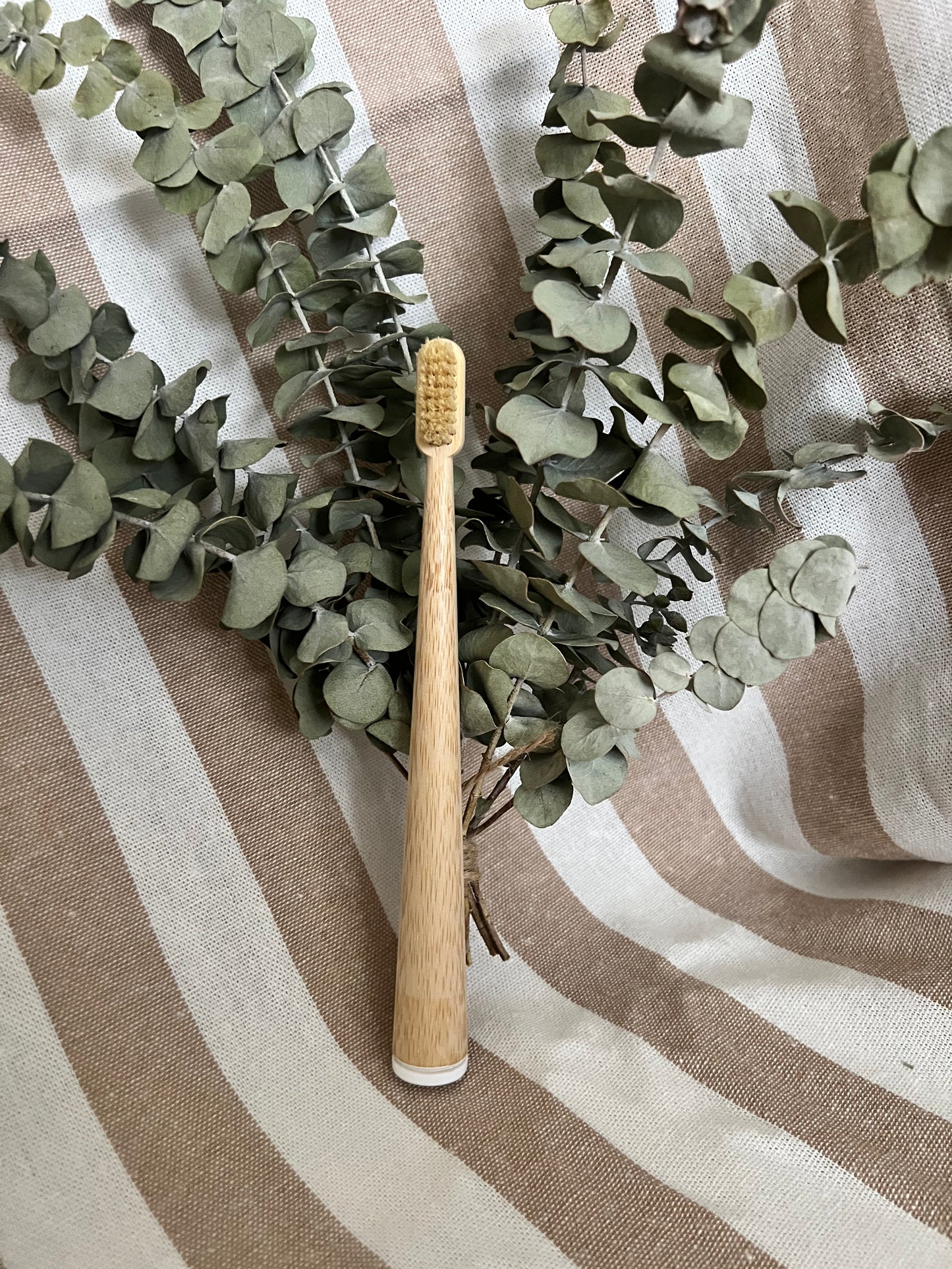 Adult Bamboo Toothbrush | Natural Boar Bristles