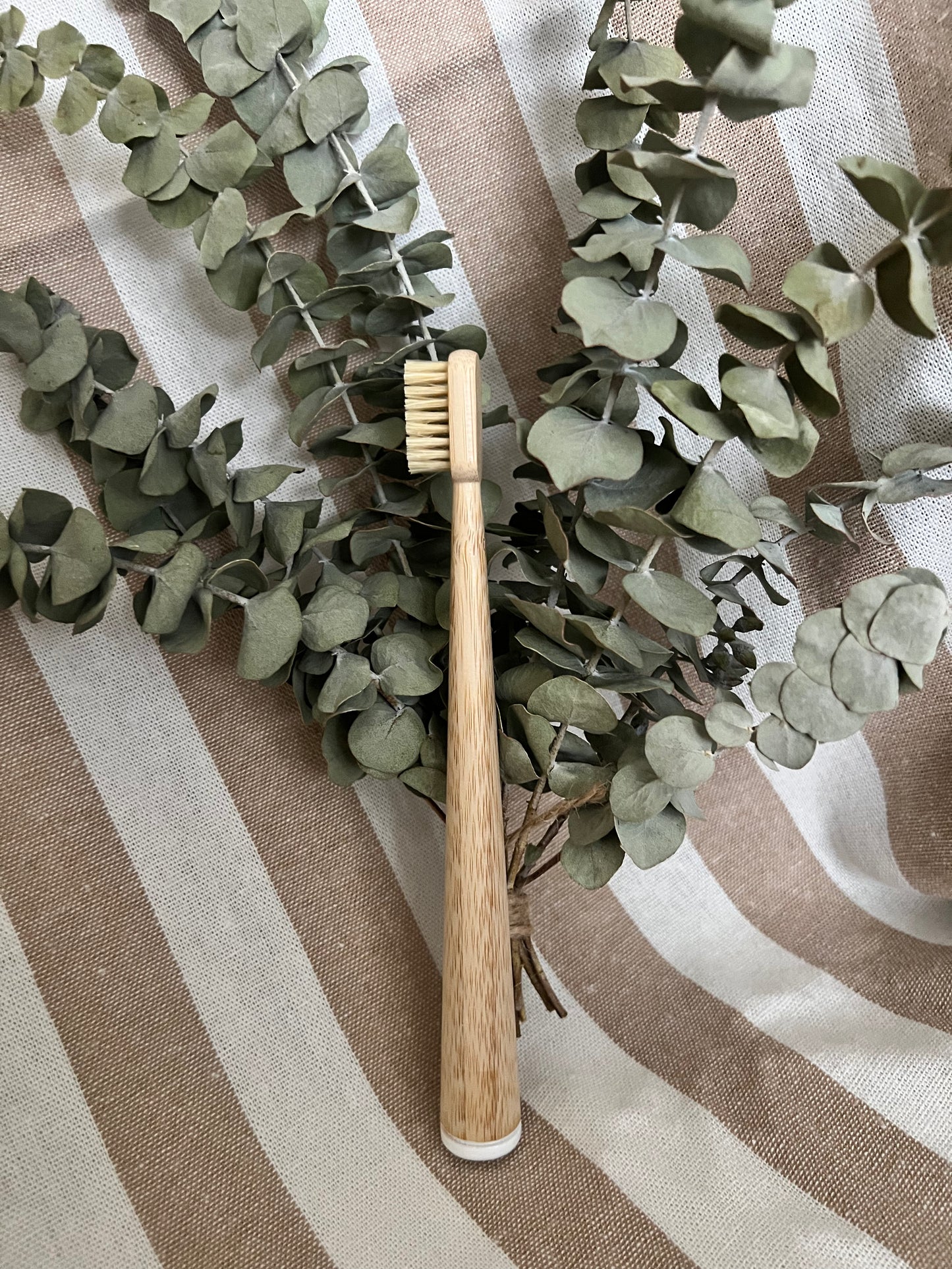 Adult Bamboo Toothbrush | Natural Boar Bristles