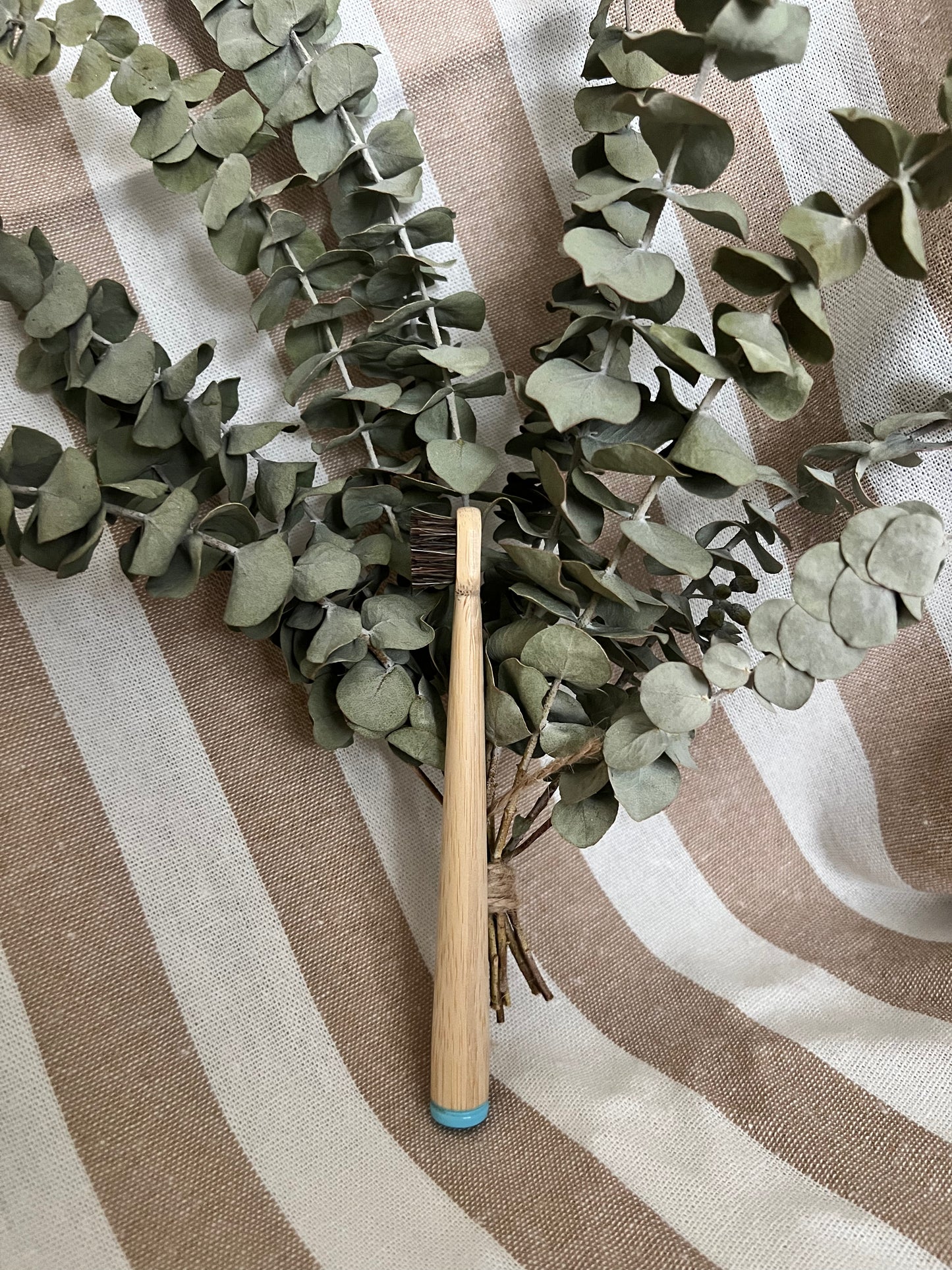 Children's Bamboo Toothbrush | Natural Horsehair Bristles — $6