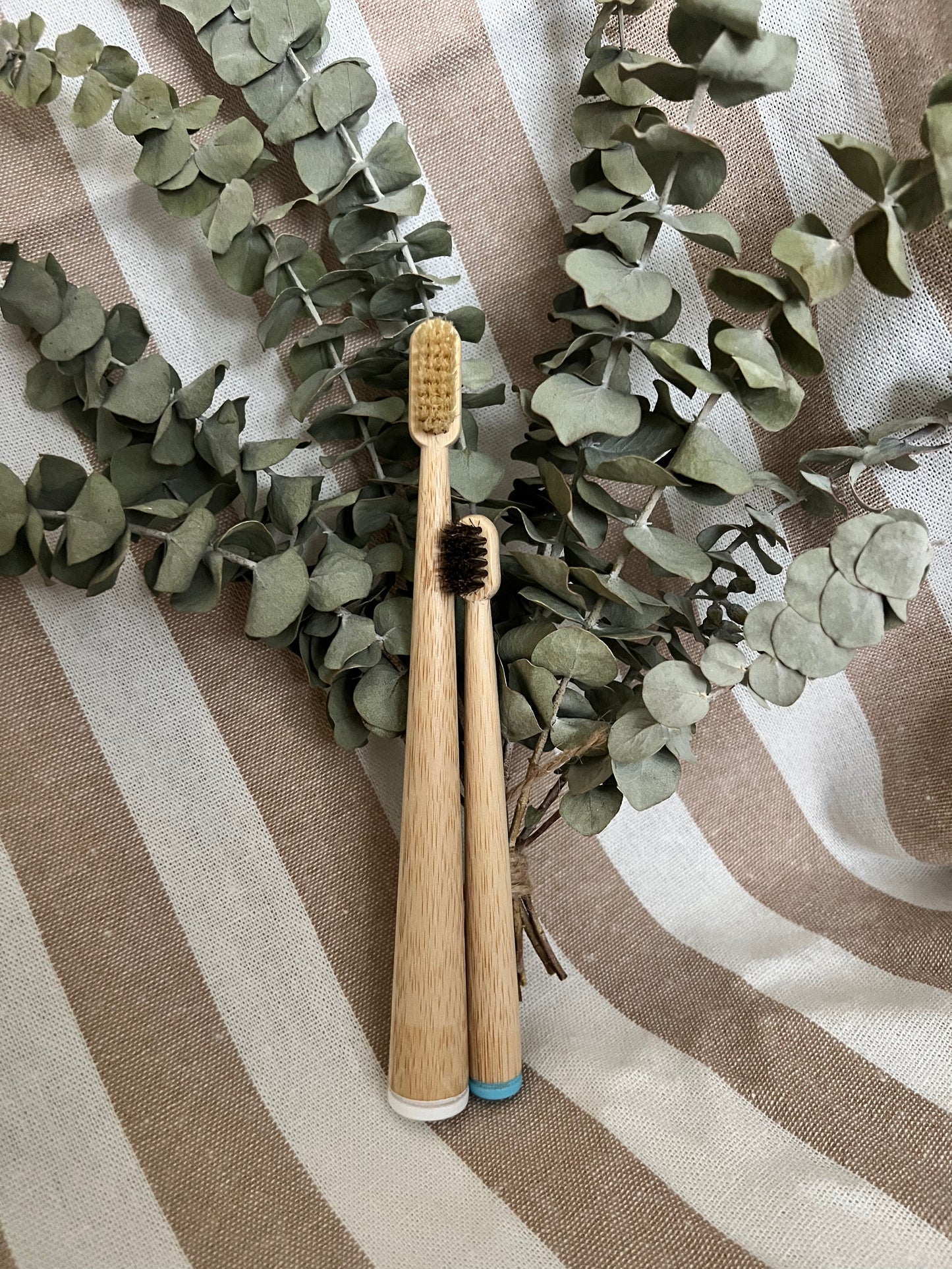 Family Bamboo Toothbrush Bundle | Natural Bristles